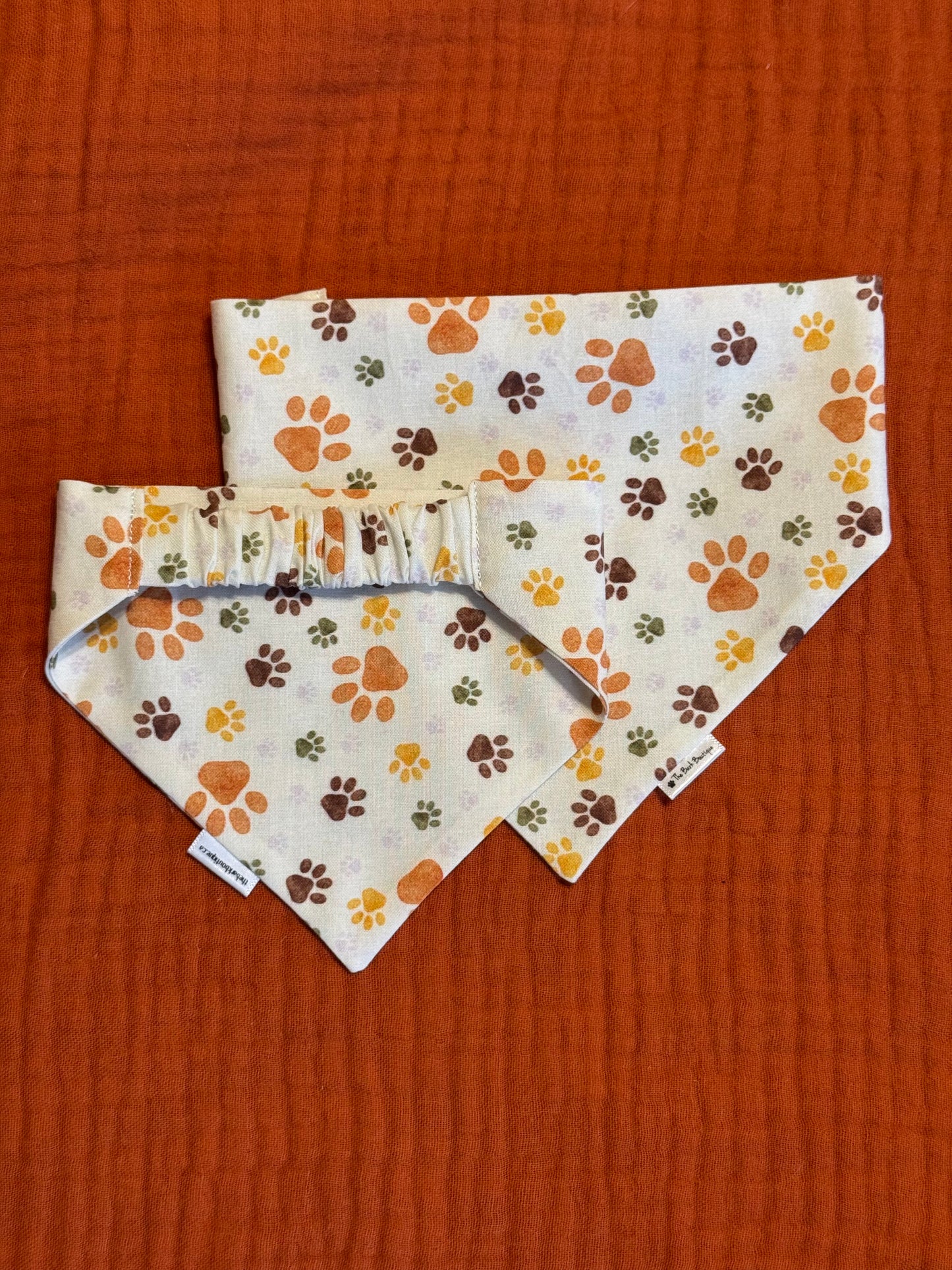 Fall Paws
