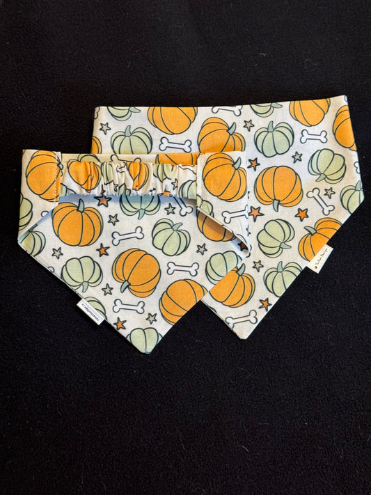 Pumpkin Bones